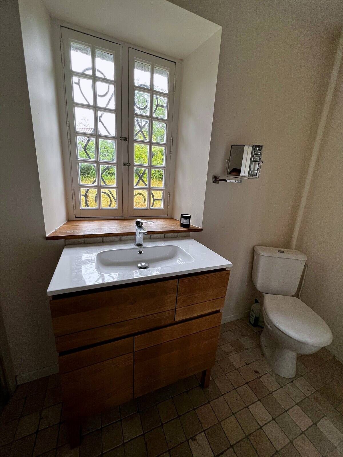 Bathroom vanity and traditional window overlooking the grounds
