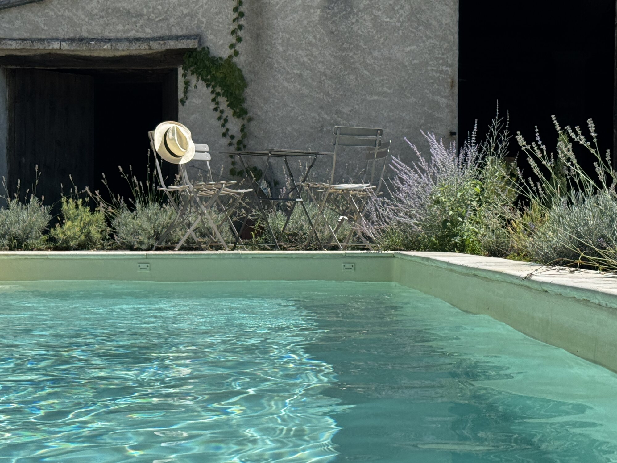 Close view across the clear water towards lavender and the shaded pool terrace